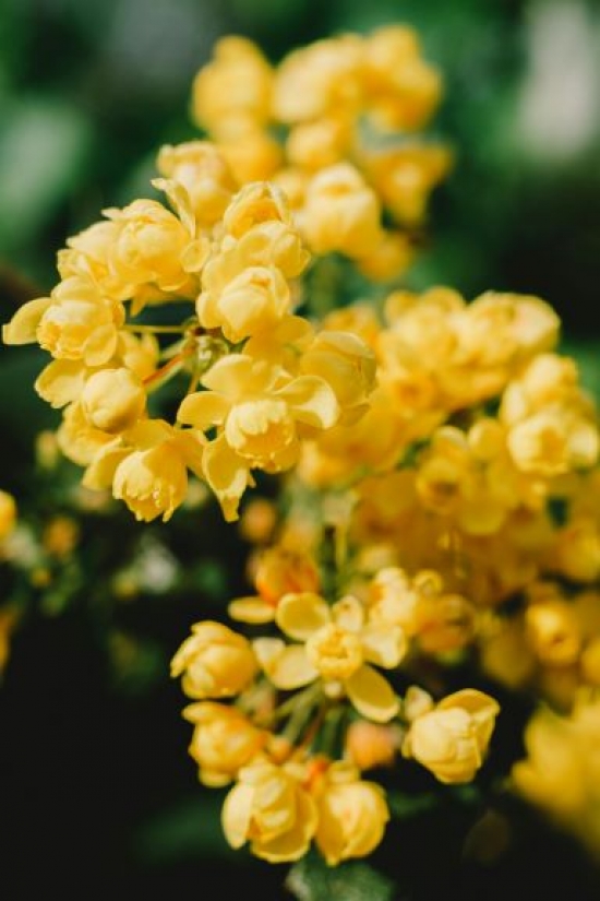 Givaudan:Для косметичних продуктів
